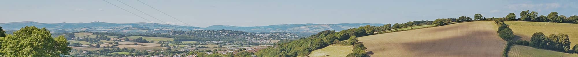 Newton Abbot Estate Agents